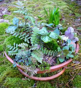 Small scale native plantings